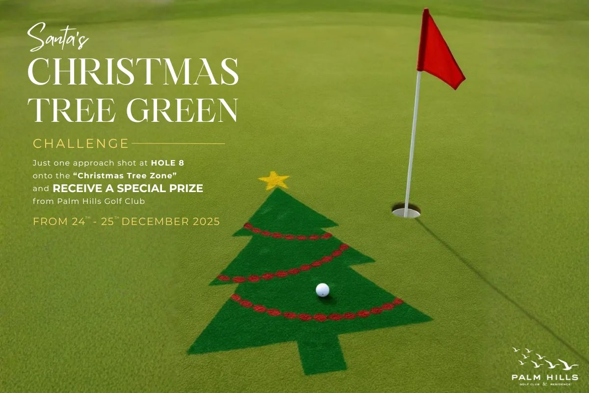 santa christmas tree green (1)